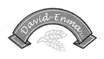 Imagen de DAVID - ENMA S.L