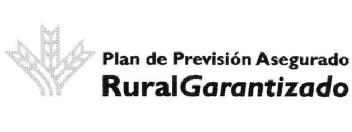 Imagen de PLAN DE PREVISION ASEGURADO RURALGARANTIZADO