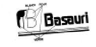 Imagen de B BASAURI
