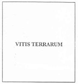 Imagen de VITIS TERRARUM