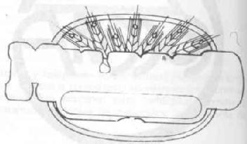 Imagen de M1600978