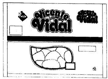 Imagen de VICENTE VIDAL