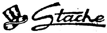 Imagen de STACHE