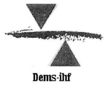 Imagen de DEMS-IHF