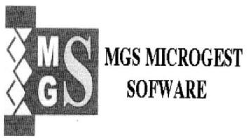 Imagen de MGS MGS MICROGEST SOFWARE