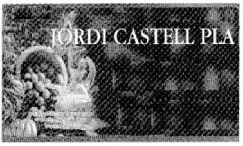 Imagen de JORDI CASTELL PLA