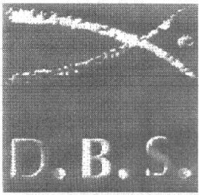 Imagen de D.B.S