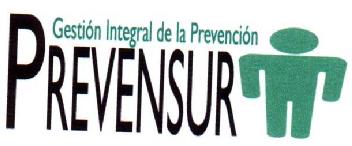 Imagen de PREVENSUR GESTION INTEGRAL DE LA PREVENCION