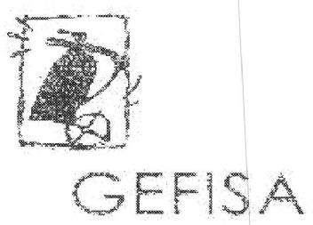 Imagen de GEFISA