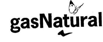 Imagen de GAS NATURAL