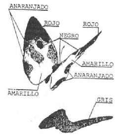 Imagen de M3028045