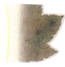 Imagen de M2515328