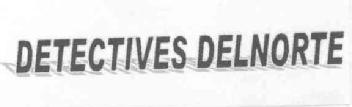 Imagen de DETECTIVES DELNORTE