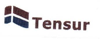 Imagen de TENSUR