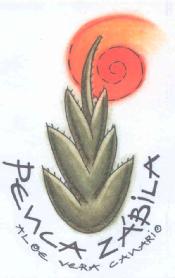 Imagen de PENCA ZABILA ALOE VERA CANARIO