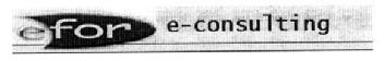 Imagen de EFOR E-CONSULTING