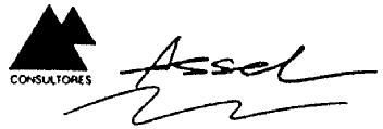 Imagen de ASSEL CONSULTORES