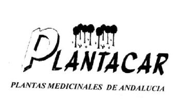 Imagen de PLANTACAR PLANTAS MEDICINALES DE ANDALUCIA