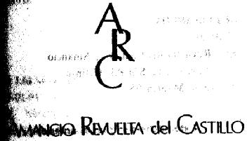 Imagen de ARC AMANCIO REVUELTA DEL CASTILLO
