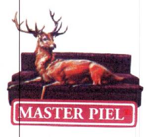Imagen de MASTER PIEL