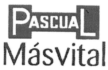 Imagen de PASCUAL MASVITAL