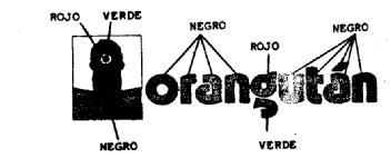 Imagen de ORANGUTAN