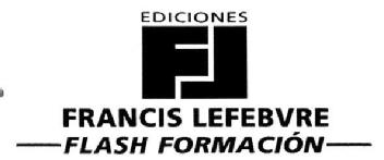 Imagen de EDICIONES FL FRANCIS LEFEBVRE FLASH FORMACION