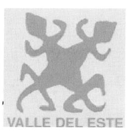 Imagen de VALLE DEL ESTE