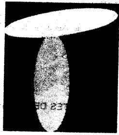 Imagen de M1687082