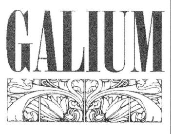 Imagen de GALIUM