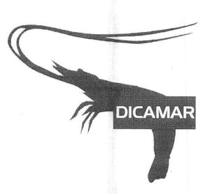 Imagen de DICAMAR