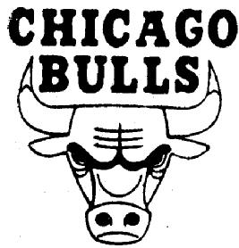 Imagen de CHICAGO BULLS