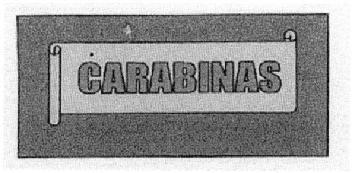 Imagen de CARABINAS