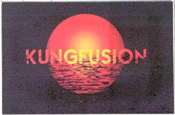 Imagen de KUNGFUSION