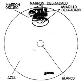 Imagen de TELE 5
