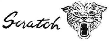 Imagen de SCRATCH
