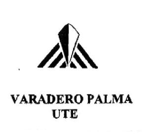 Imagen de VARADERO PALMA UTE