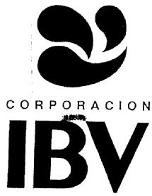 Imagen de CORPORACION IBV