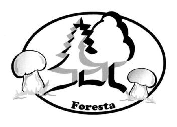 Imagen de FORESTA