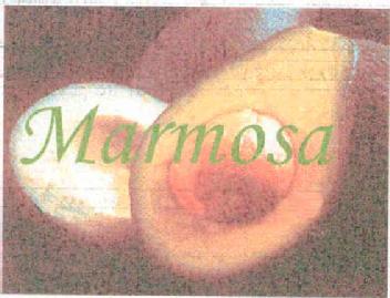 Imagen de MARMOSA
