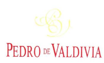 Imagen de PV PEDRO DE VALDIVIA