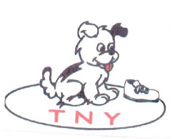 Imagen de TNY