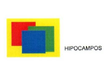 Imagen de HIPOCAMPOS