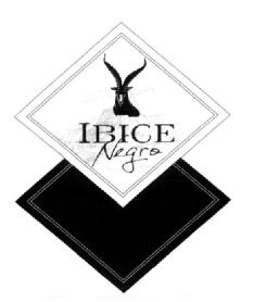 Imagen de IBICE NEGRO