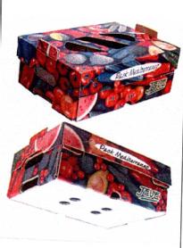 Imagen de PACK MEDITERRANEO JEVE