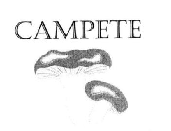 Imagen de CAMPETE