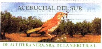 Imagen de ACEBUCHAL DEL SUR DE ACEITERA NTRA. SRA. DE LA MERCED, S.L