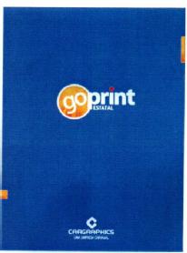 Imagen de GOPRINT ESTATAL CARGRAPHICS