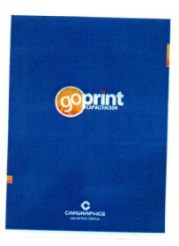 Imagen de GO PRINT CAPACITACION