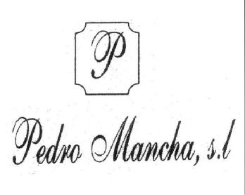 Imagen de P PEDRO MANCHA, S.L